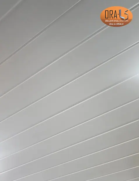 ORA Light Steel ceilings